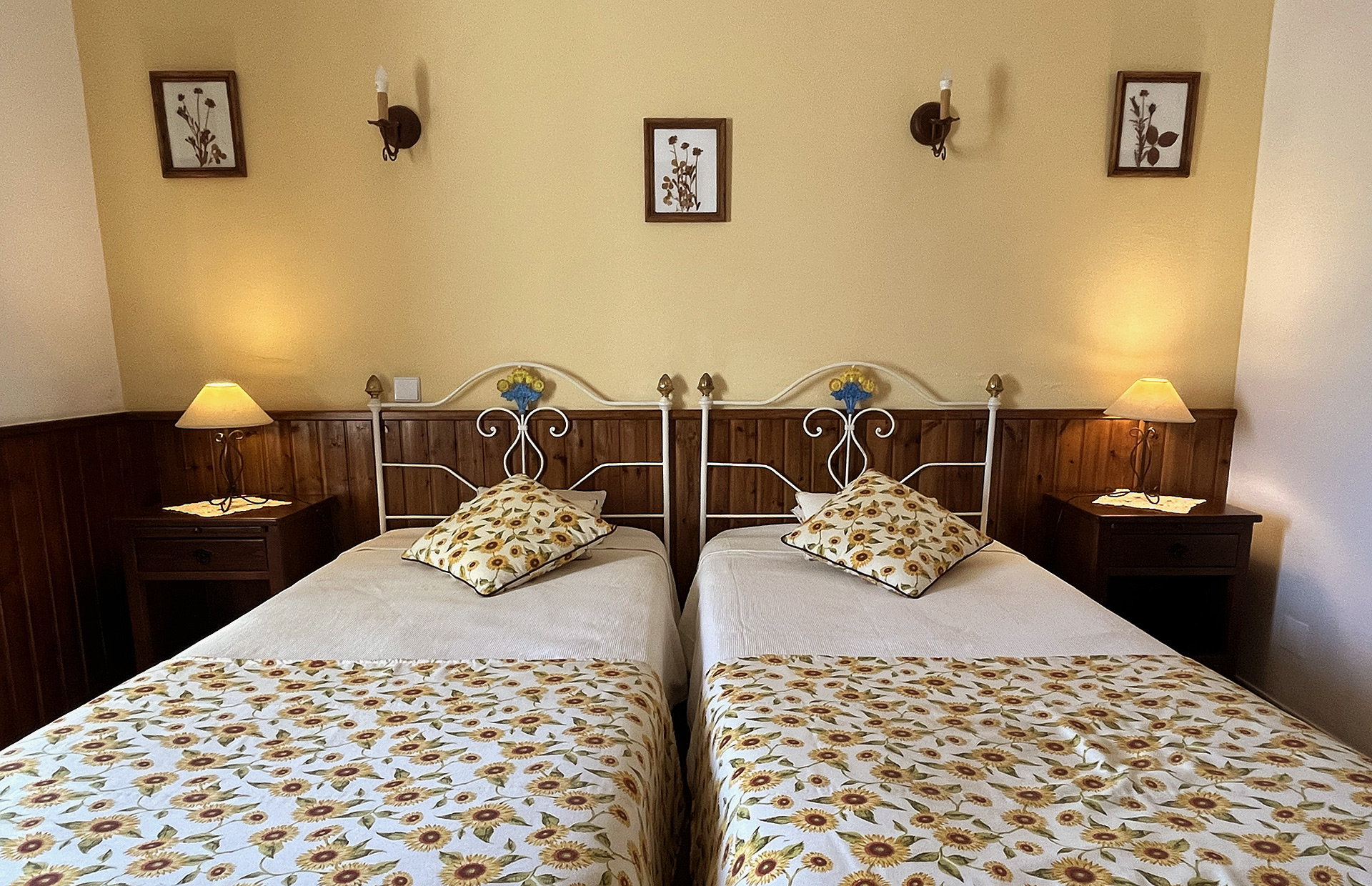 Quarto-dos-Pampilhos-Monte-dos-Avós-2